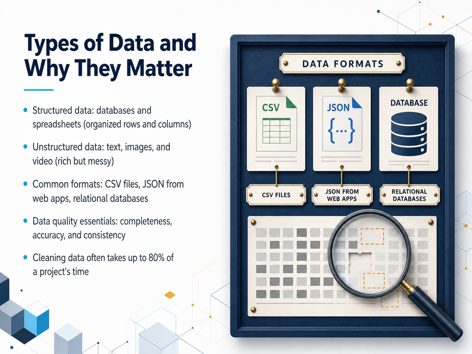 Types of Data and Why They Matter