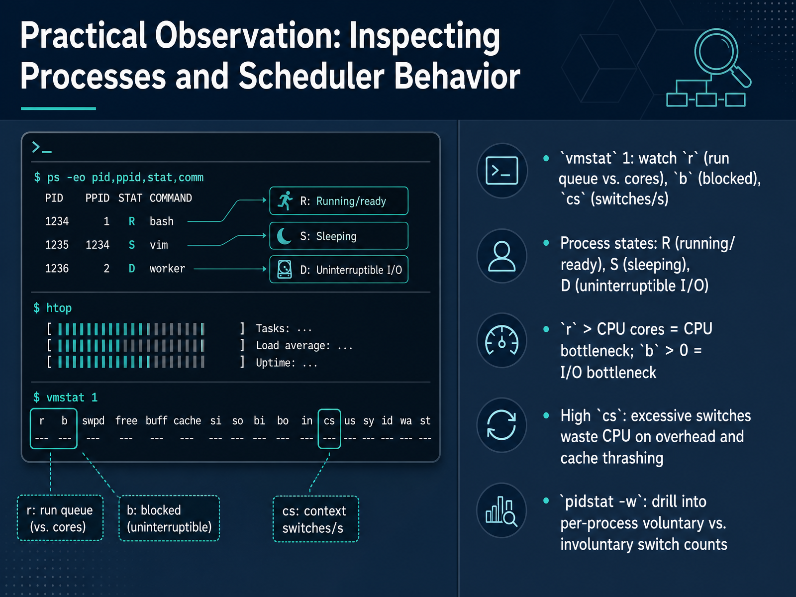 Practical Observation: Inspecting Processes and Scheduler Behavior