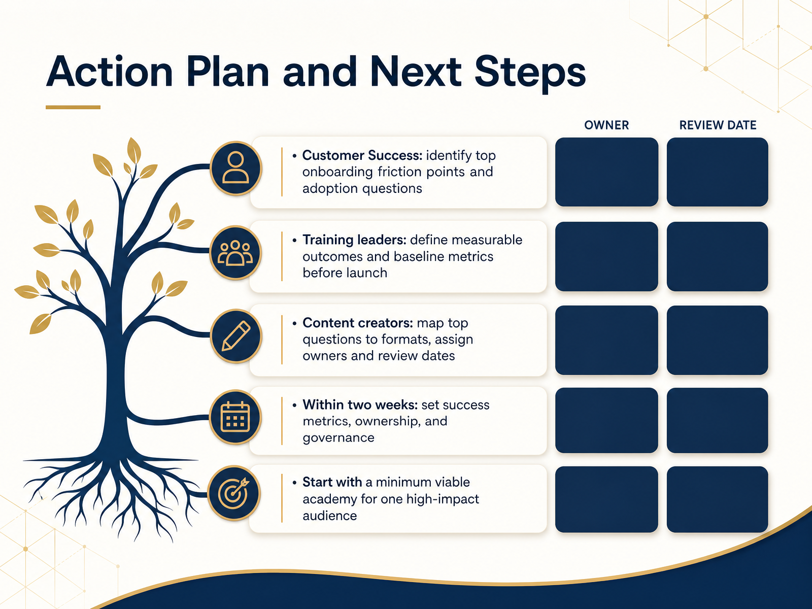 Action Plan and Next Steps